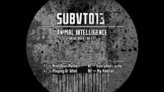 Animal Intelligence - Untitled