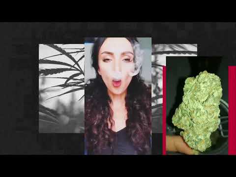 Video thumbnail for KUSH