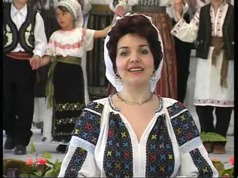 37. Irina Zoican  - Hai nana pe lunca mare