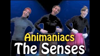 Animaniacs- The Senses