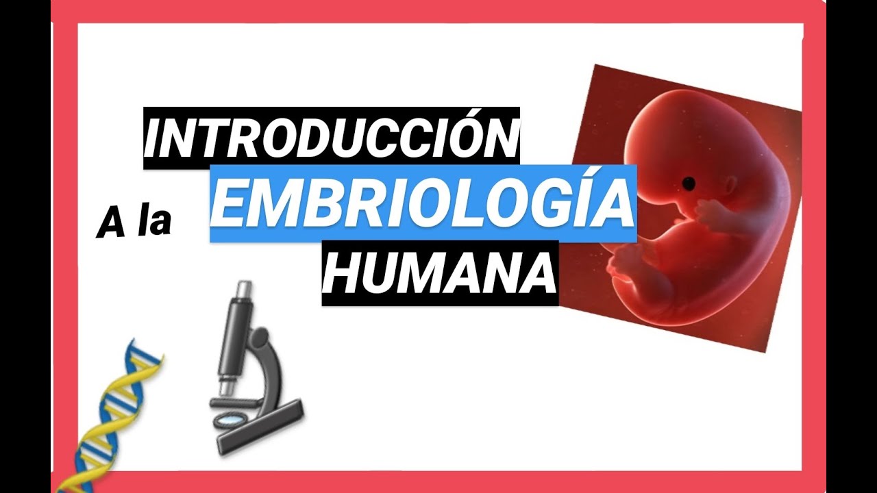 ✅ Conceptos Básicos de Embriología | Curso de EMBRIOLOGÍA Humana Clase 1📚