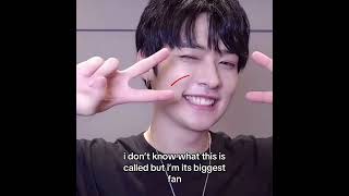 lino’s lil ( )’s 🥺🥺🥺 i’ve been its biggest fan since i saw him smile for the first time 🥺🥺