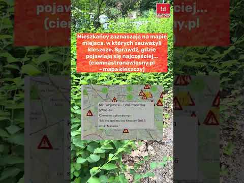 Uwaga na kleszcze we Wrocławiu