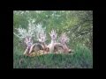 Justin Bieber- All Around The World (FAN VIDEO ...