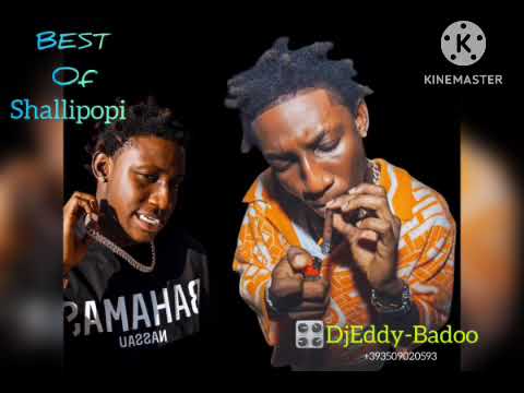 Shallipopi Greatest Hits Songs Best Of Shallipopi Mix By (DJEddy-Badoo) 2023 Afrobeat Mix