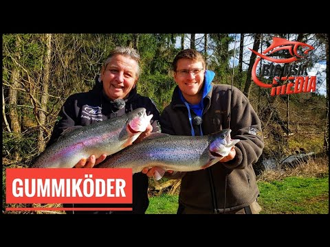 Gummi fängt Großforelle - mit Gewinnspiel / Gregor trifft den Profi
