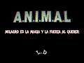 A.N.I.M.A.L - Milagro - letra