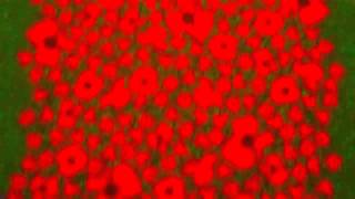 Sixteen Words - Liam Stewart