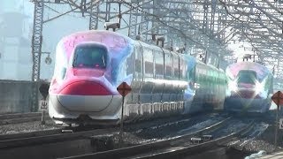 preview picture of video '最近の東北新幹線 郡山駅 Tohoku Shinkansen Koriyama Station'