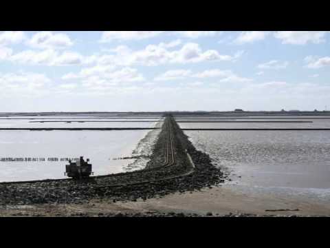 Narrow Gauge Trams Traveling Across the North Sea