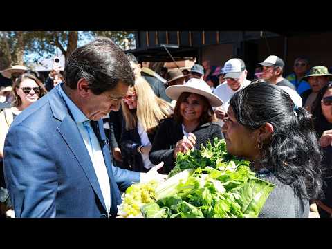 🥬 MAIMARÁ I El gobernador Sadir inauguró mercado para productores en la estación del Tren Solar
