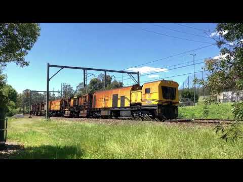 20221028_1239 M873 Speno Gonarro