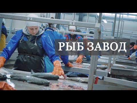 Рыбзавод Камчатка