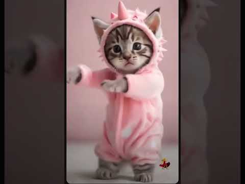 Cute cat Dance 😺😺😺 #trending #popular #viralshorts #anjichannel