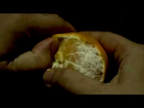 Reincarnate trailer จุติ