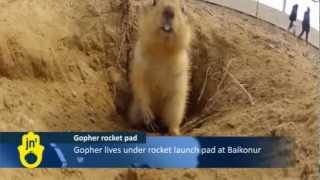 Download lagu Gopher Living Under Kazakhstan Rocket Launchpad: Baikonur Cosmodrome, Russian Soyuz Launch Site mp3