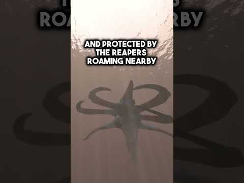 The Secret Biome Guarded By Reaper Leviathans