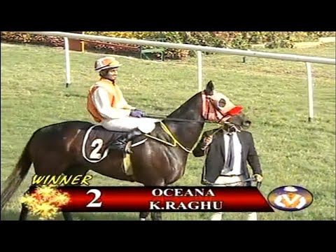 Mysore Races 13 November 2019
