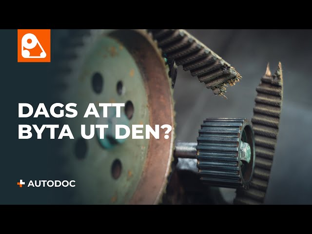 Se en videoguide om Kamremssats inkl. vattenpump byta i TOYOTA CAMRY Station Wagon (_XV1_, _CV1_, _V10)