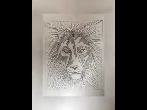 Pencil Drawings and Pen Shading