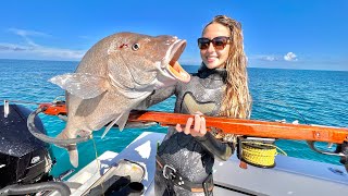 BIGGEST White Snapper Speared in Shallow Water!