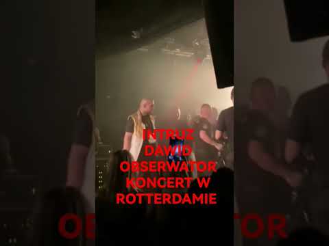 INTRUZ DAWID OBSERWATOR W ROTTERDAMIE