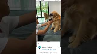 Horizon of curiosity ( não estou só!!!)