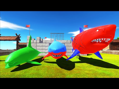 DEATH RUN vs BIG, MEDIUM, SMALL MEGALODON - Animal Revolt Battle Simulator