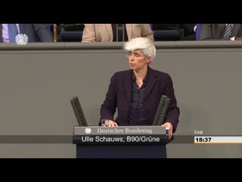 Ulle Schauws Rede am 14.01.16: Stärkung der Rechte von Prostituierten