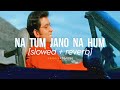 Na Tum Jano Na Hum Slowed Reverb Lucky Ali Kaho Naa Pyaar Hai