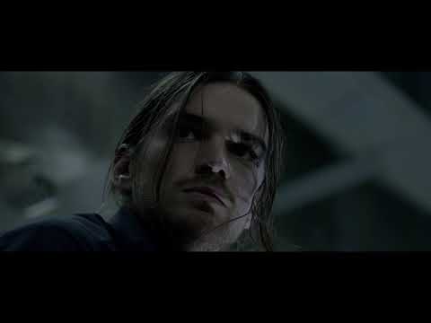 afbeelding Wheel, The