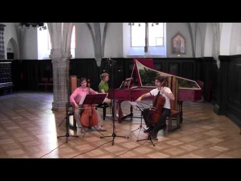 Vivaldi Sonata RV 42/3, Pavel Serbin & Baltic Baroque/ Grigori Maltizov
