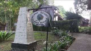 Taman Negara, Malaysia -- the oldest rainforest on our planet