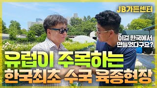 한국의 수국육종 수준은 과연 어디까지일까? 세계를 향한 JB가든센터의 콜라보 육종 현장 [JB가든센터_대림묘…