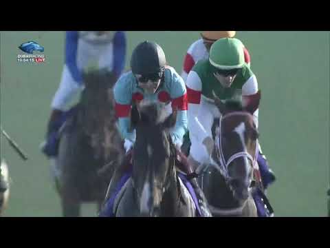 2021.10.03 Sprinters Stakes (JPN) - Pixie Knight