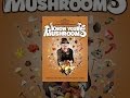 Documentary Nature - Know your Mushrooms