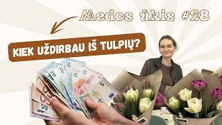 Medos ūkis #28 Kiek uždirbau iš tulpių?