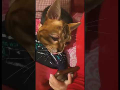 Bala bala💥💥🔥🔥