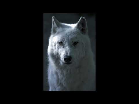 Winterfell- A Game of Thrones brass quintet version