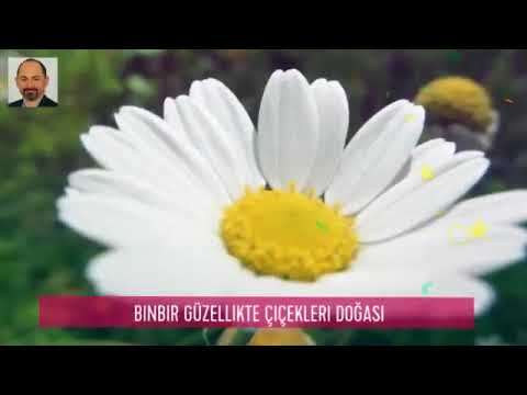 Fethiye Her Hali Başka Güzel