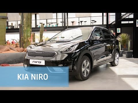 Kia Niro | Primera prueba | Diariomotor
