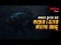 মাছের ভেতর কালো জাদু শুনেছেন কখনো