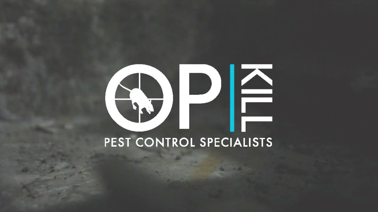 Setting a Opkill Fenn Trap