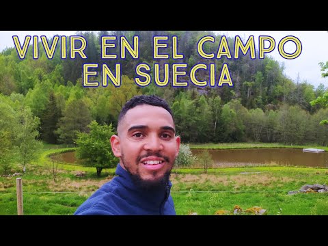 VIVIR EN EL CAMPO EN SUECIA ! #haciendomeelsueco #suecia #ulricehamn #campo