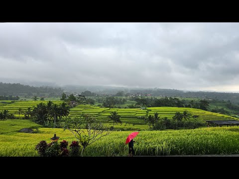 Jatiluwih Rice Terraces - UNESCO World Heritage Site, Bali, Indonesia 🇮🇩 4K Walking Tour