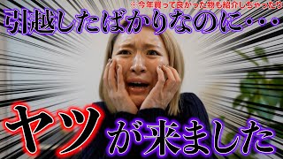 満を持してオシャレスペースでのオープニング嬉しい😂🫶🏻 - ブチギレながらオススメスキンケア紹介するふざけんなチャンネル