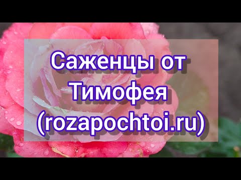 Посылка от Тимофея!