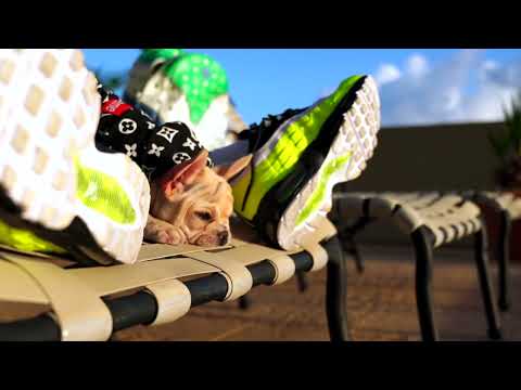 JAMBY EL FAVO , JON Z, EL DOMINIO, NEJO EL BROKO: RASCABICHO (VIDEO MUSICAL) HD