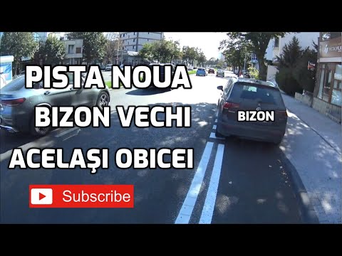 Pista de biciclete noua in Constanta. Opresc bizonii pe ea ?