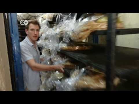 Neues IS-Hinrichtungsvideo | Journal